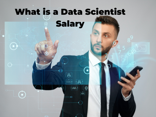 Read more about the article What is a Data Scientist Salary