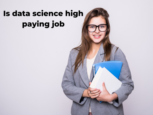 Read more about the article Is data science high paying job