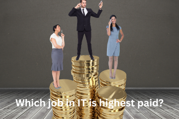 Read more about the article Which job in IT is highest paid?